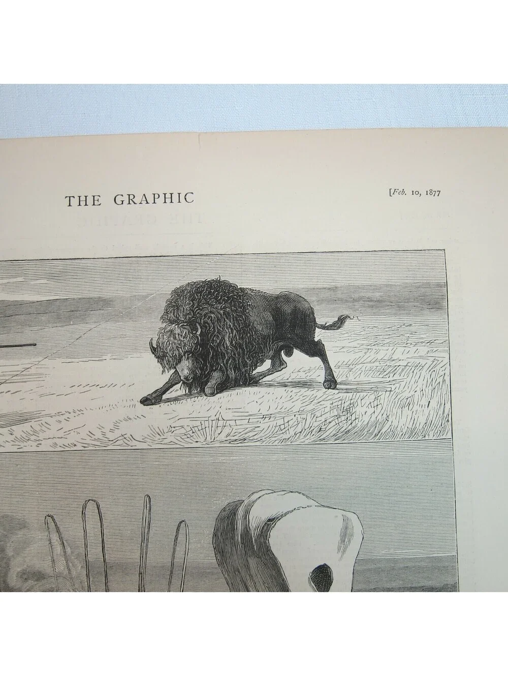 Antique 1877 Print A Days Still Hunting After North American Buffalo The Graphic